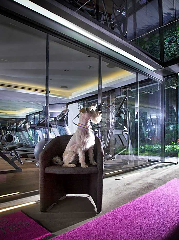 Las Suites Campos Eliseos