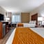 Comfort Inn Binghamton I-81