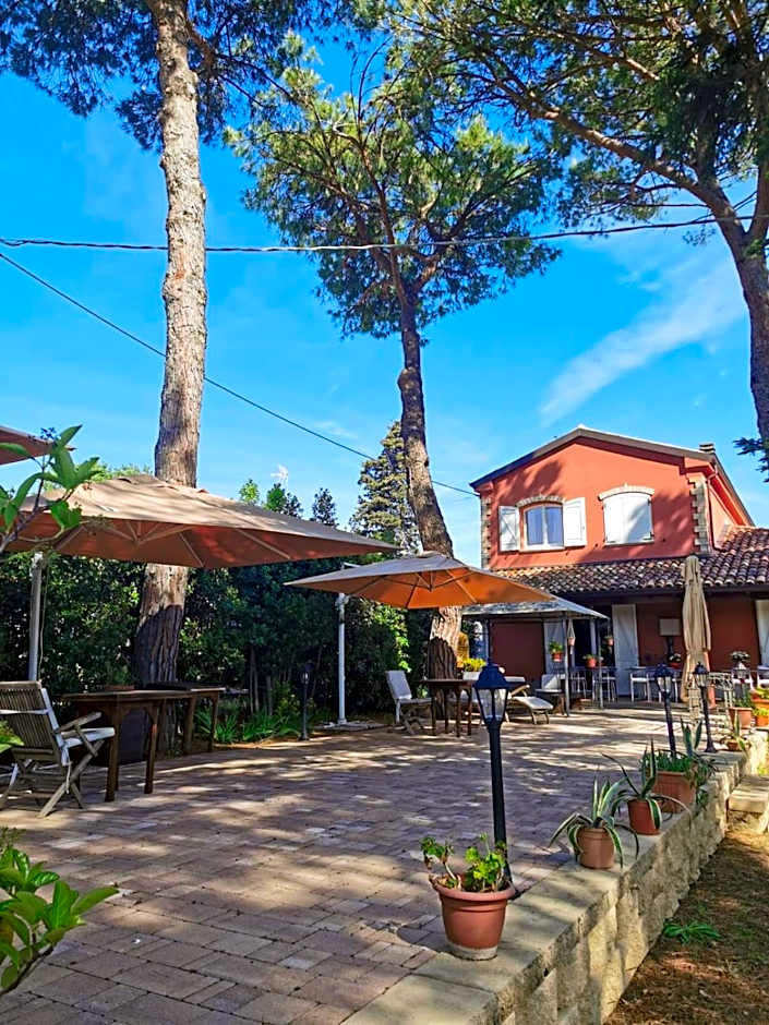 B&B Parco degli Ulivi