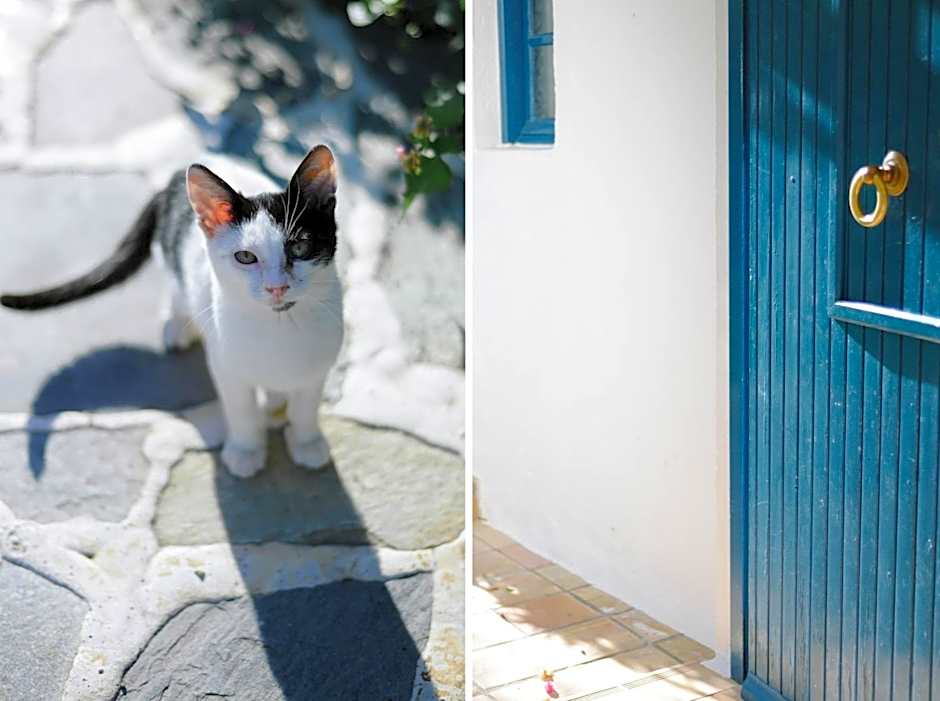 Villa Ippocampi - Adults Only