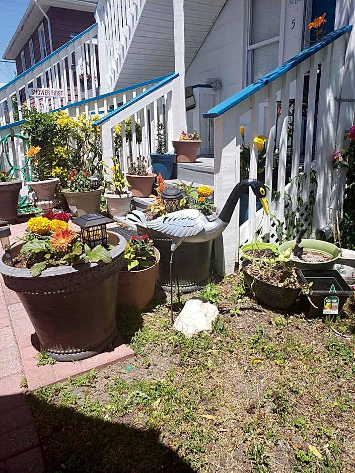 Anna's place