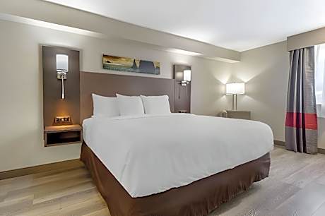 1 King Bed, Nonsmoking