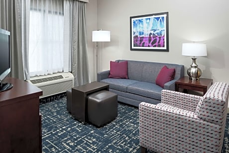 1 King Bed 1 Bedroom Suite Nonsmoking