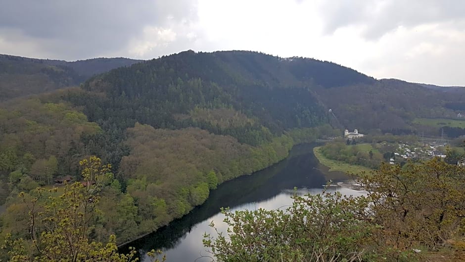 Eifelblümchen