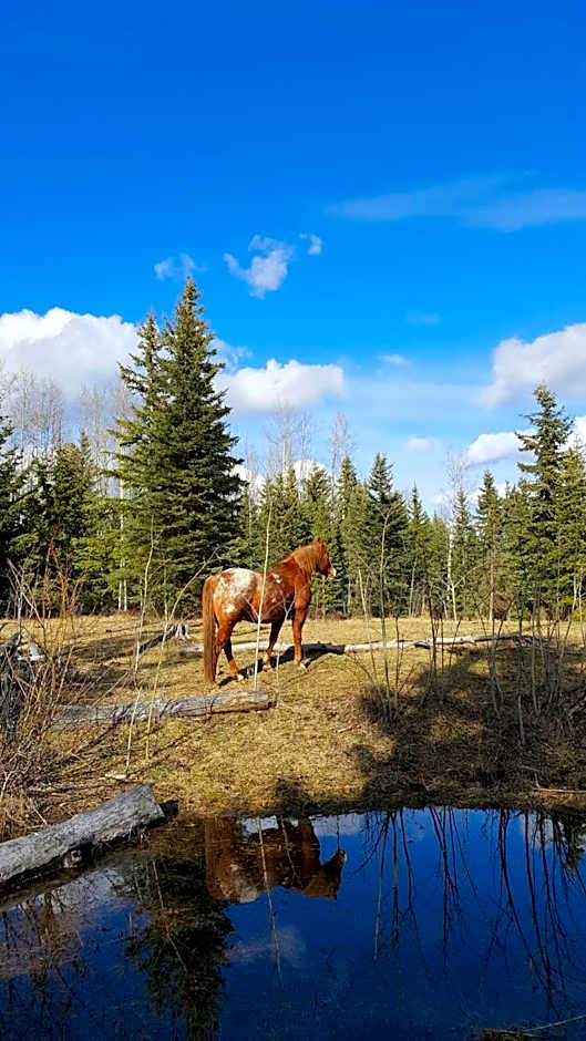 Wettstone Guest Ranch