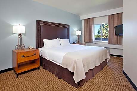 King Room - Disability Access