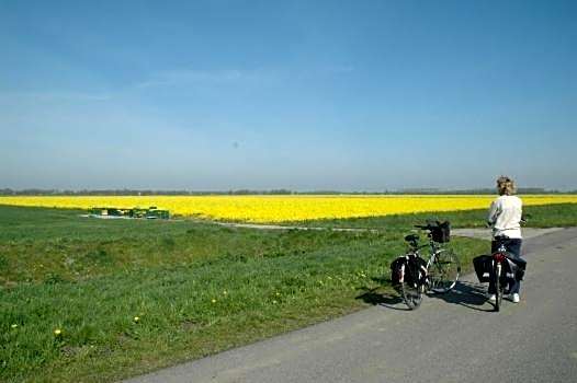 Hostel Herberg de Esborg Scheemda