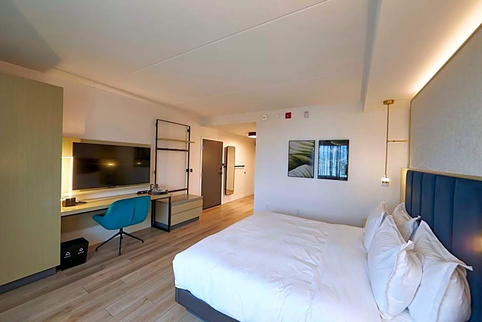 Bloom Mississauga, Tapestry Collection by Hilton