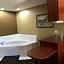 Microtel Inn & Suites By Wyndham Lithonia/Stone Mountain