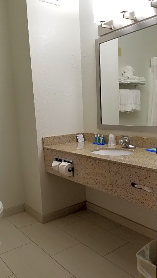 Holiday Inn Express Hotel & Suites Omaha West By IHG