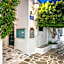 Pelican Paros