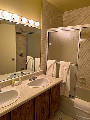 Room 223, Ski and Out