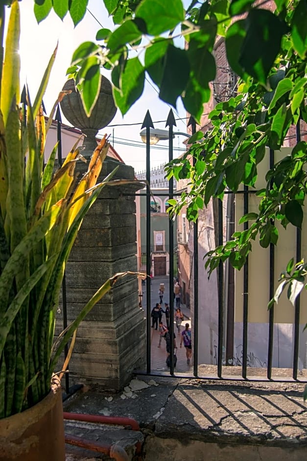 Casa Lupita Hostel