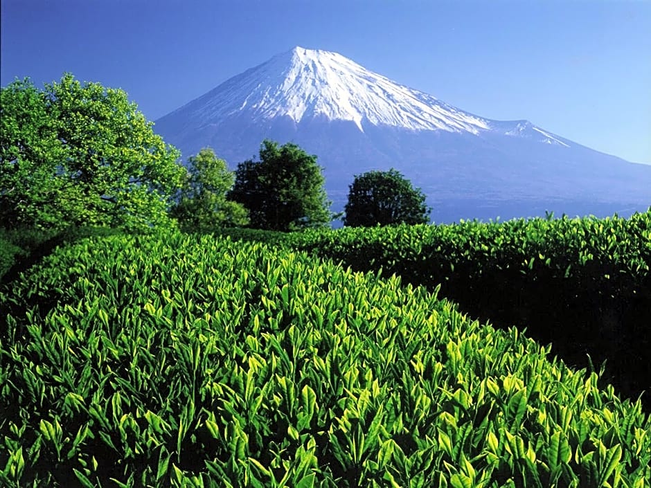 Apa Hotel Fuji Chuo