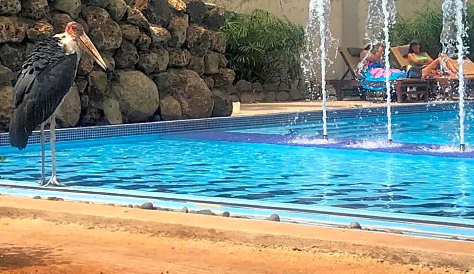 Ameg Lodge Kilimanjaro