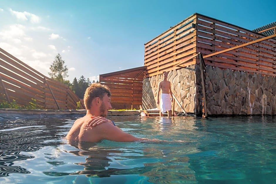 Wellness Hotel Frymburk