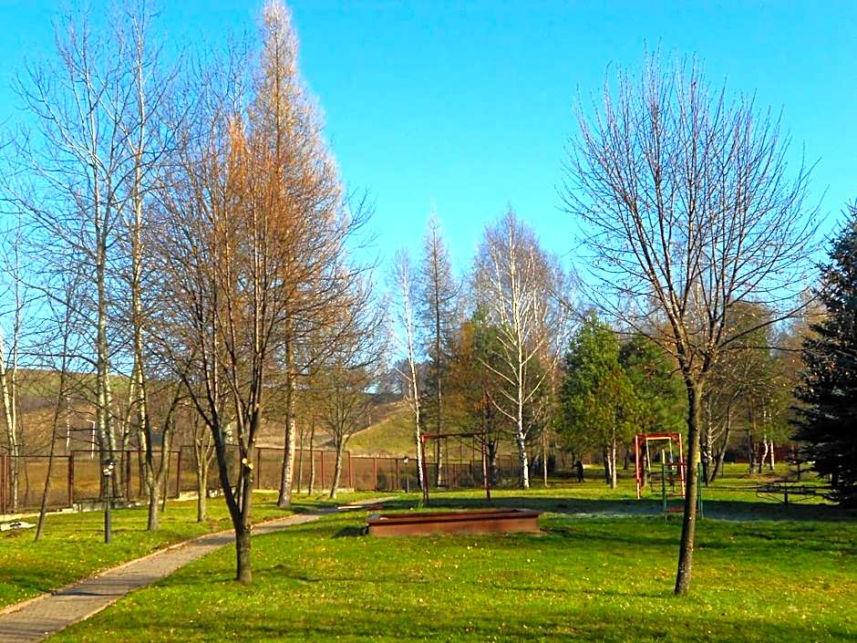Geovita Muszyna