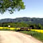 Pension Am Weinberg Sächsische Schweiz
