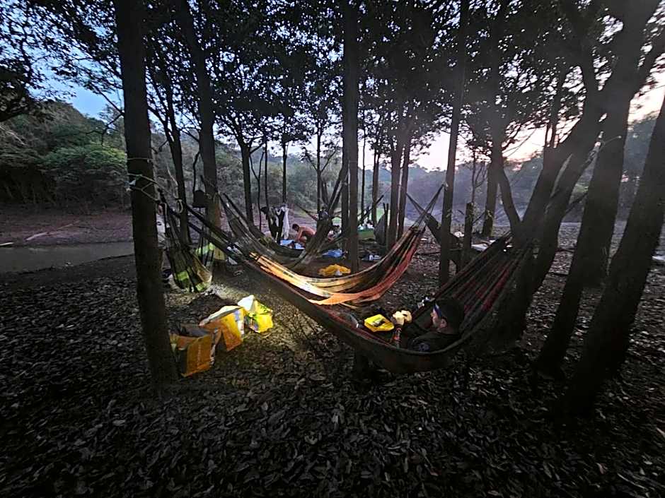 Seringal jungle Lodge