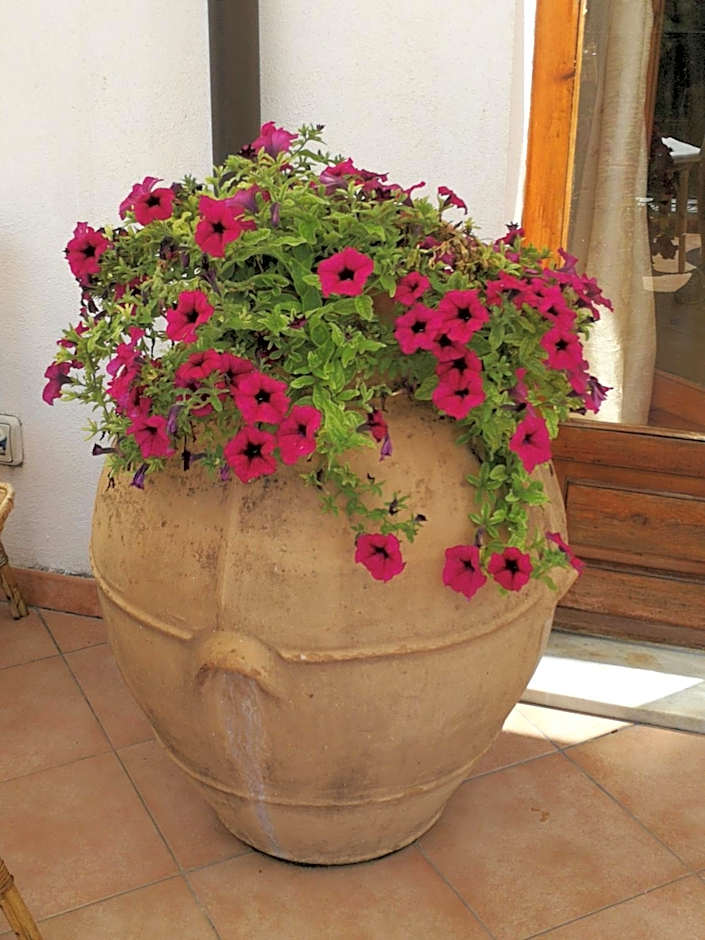 Il Sogno di Vincenzo e Maria