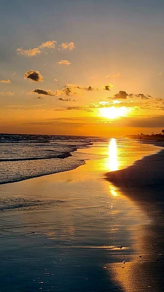 Nikau Hotel El Cuyo - Adults Only