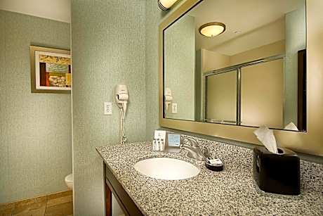 1 King Bed Study W/Sofabed Nonsmoking