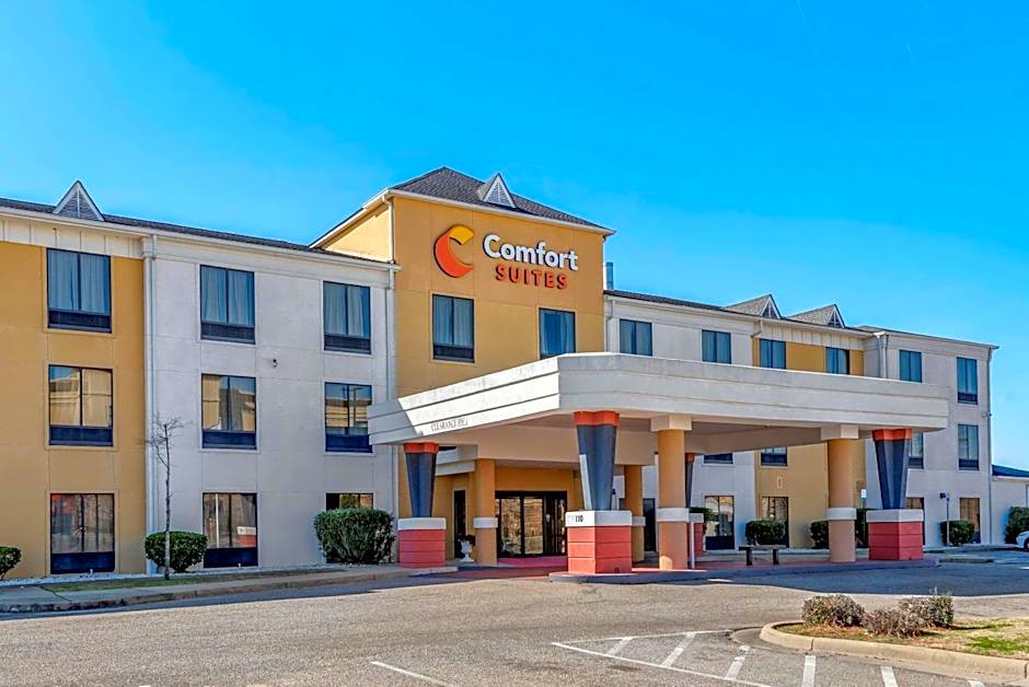 Comfort Suites Airport South
