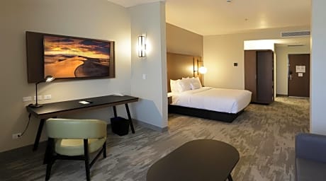 Suite, 1 King, Sofa bed, City view