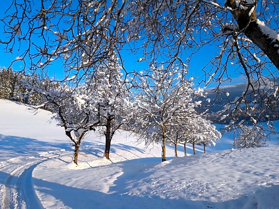 Biobauernhof Obereck