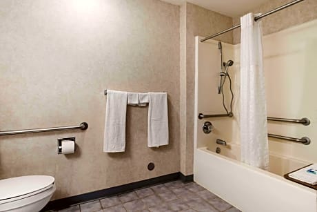 1 King Bed Nonsmoking Accessible