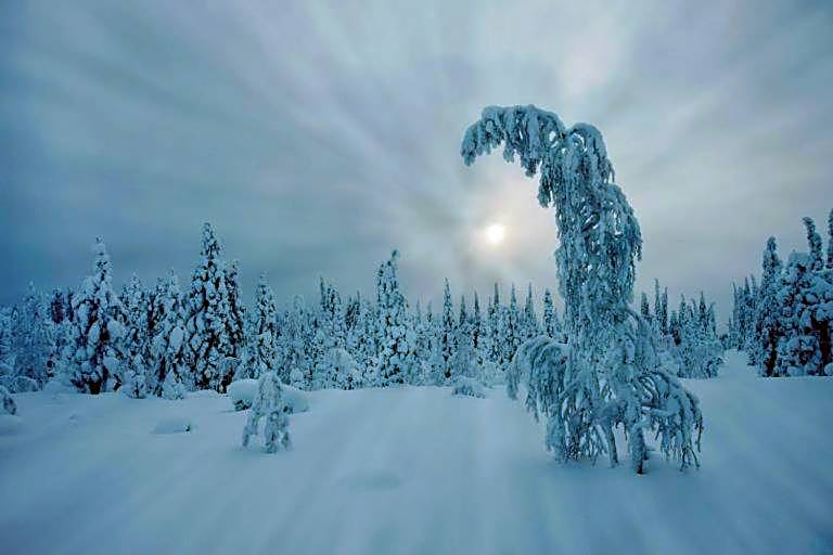 Skyfire Village Igloos