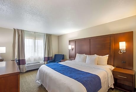 1 King Bed, Nonsmoking