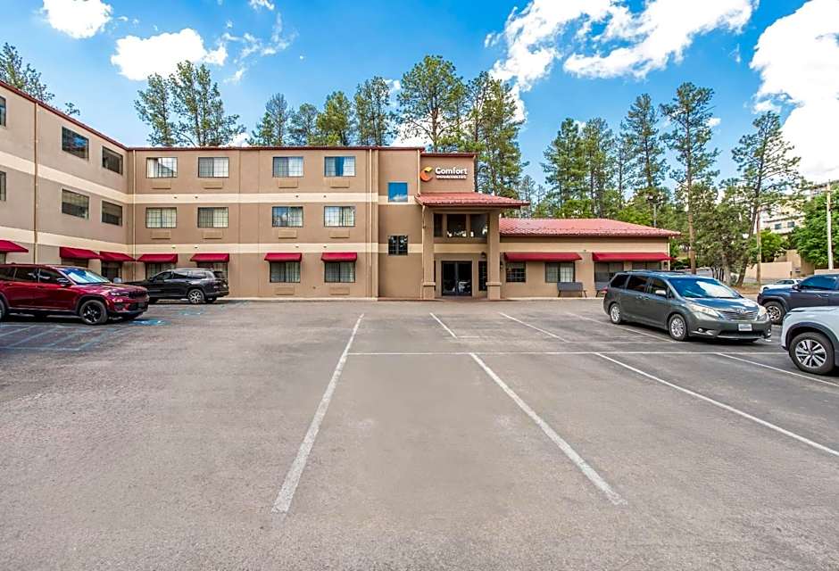 Comfort Inn & Suites Midtown