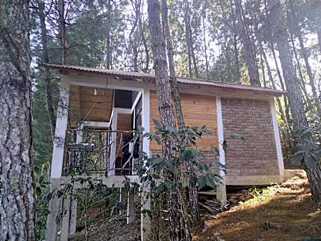 Double Room with Two Double Beds