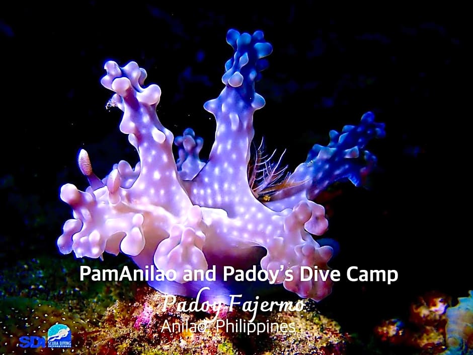 PamAnilao and Padoy's Dive Camp