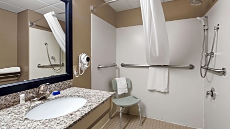 accessible - 1 king, mobility accessible, communication assistance, roll in shower, non-smoking, full breakfast