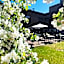 Hotel Haaga Central Park