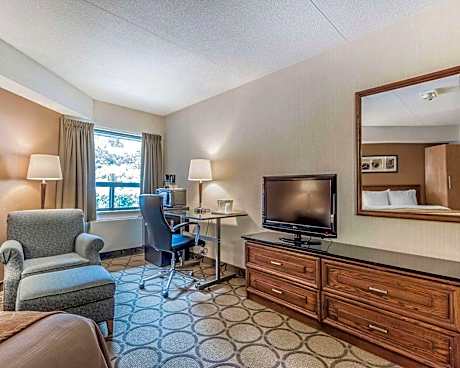 Deluxe King Room with Sofa Bed