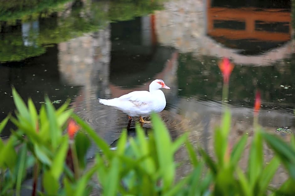 Los Mandarinos Boutique Hotel & Spa