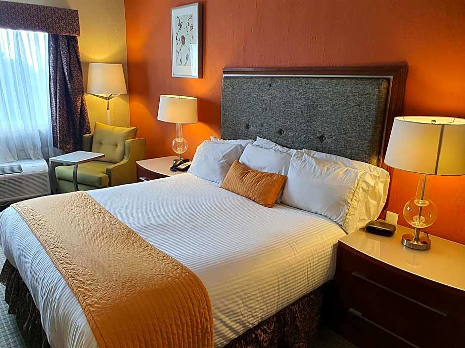 Hotel San Francisco Leon