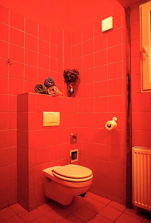 Das Nest Budapest