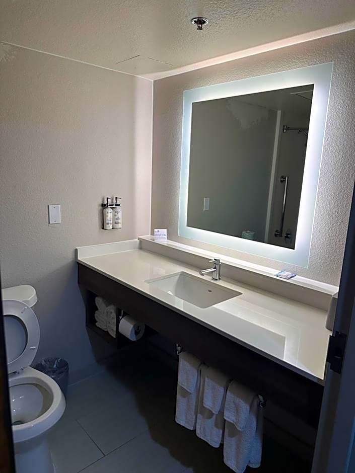 Holiday Inn Express Hotel and Suites Mesquite By IHG