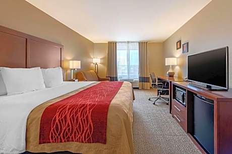 1 King Bed Suite Nonsmoking