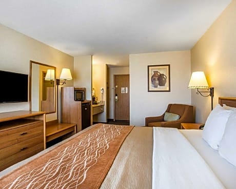 1 King Bed, Non-Smoking
