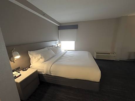 1 King Bed Deluxe Room Non-Smoking