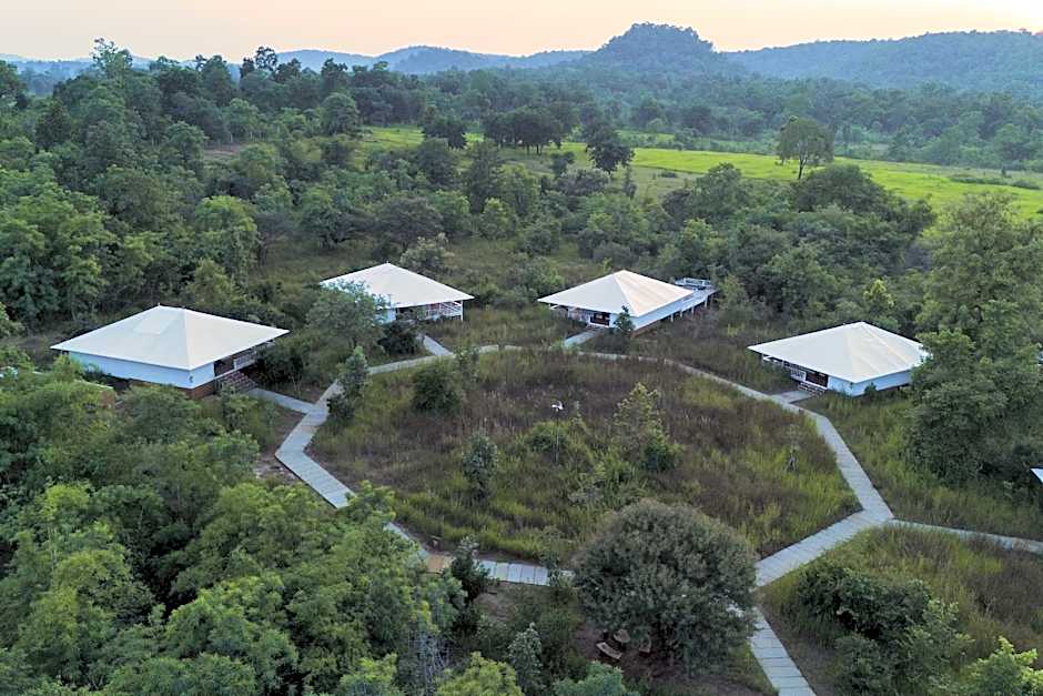 Tree of Life Ramvilas, Bandhavgarh