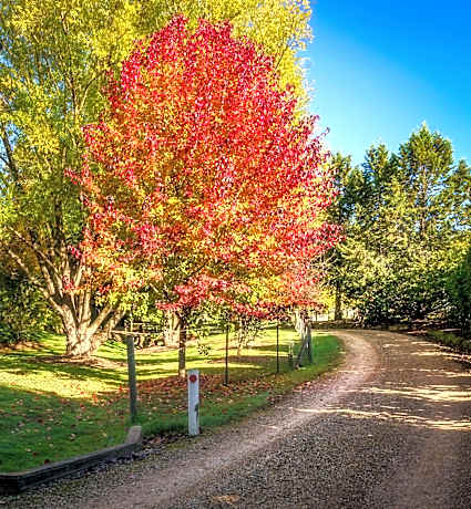 Bright Mystic Valley