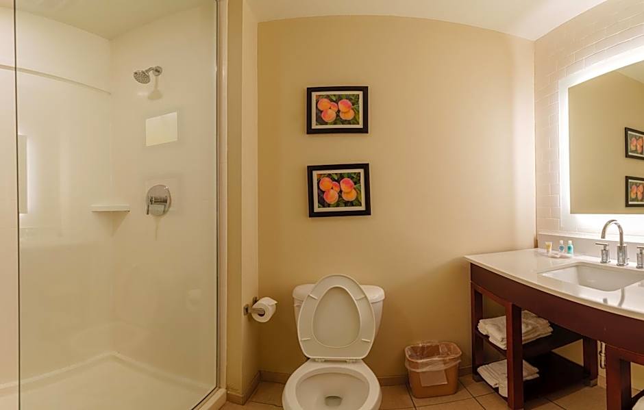 Comfort Suites