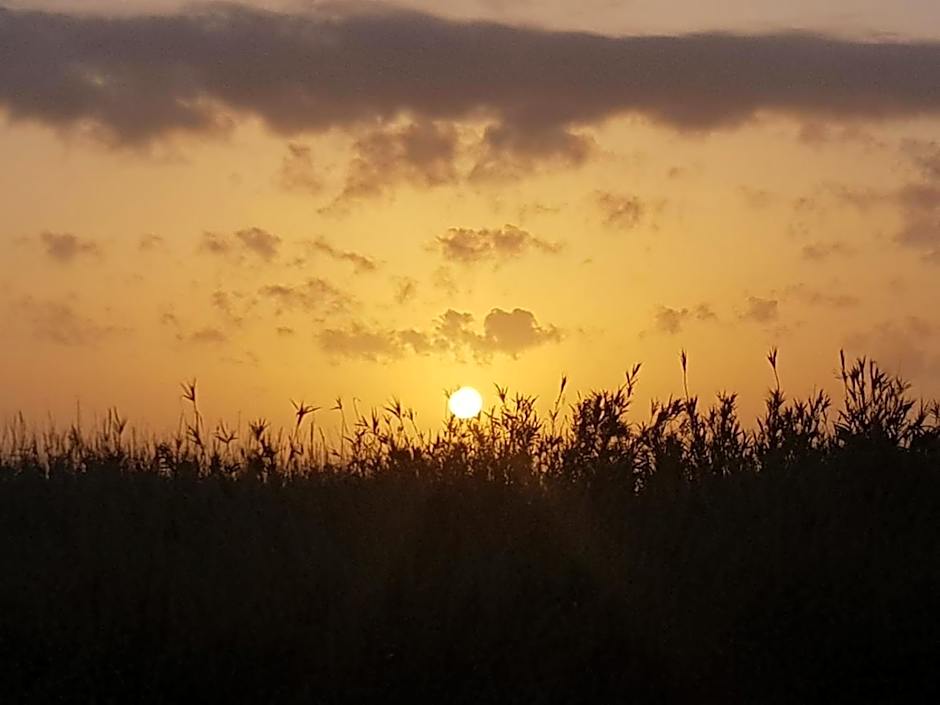 Eco Hostel VELA VEGA