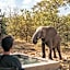 Simbavati River Lodge